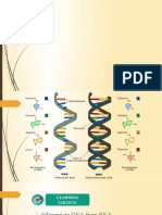 DNA and RNA Structure and Applications