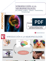 SESIÓN 1 - INTRODUCCIÓN A LA NEUROPSICOLOGÍA