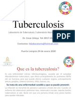 Metodos Diagnosticos Tuberculosis 2020