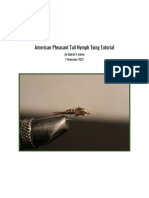 Pheasant Tail Tutorial - Manual