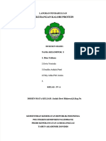 PDF LP KKP DL