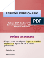 Periodo Embrionario PDF