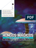 Hongos Mágicos - Micelium v.i_opt