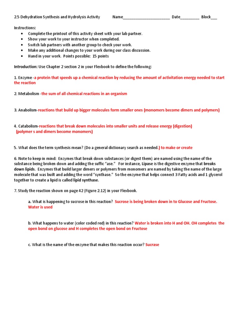 2 5 Dehydration Synthesis and Hydrolysis Activity Answer Key | PDF ...