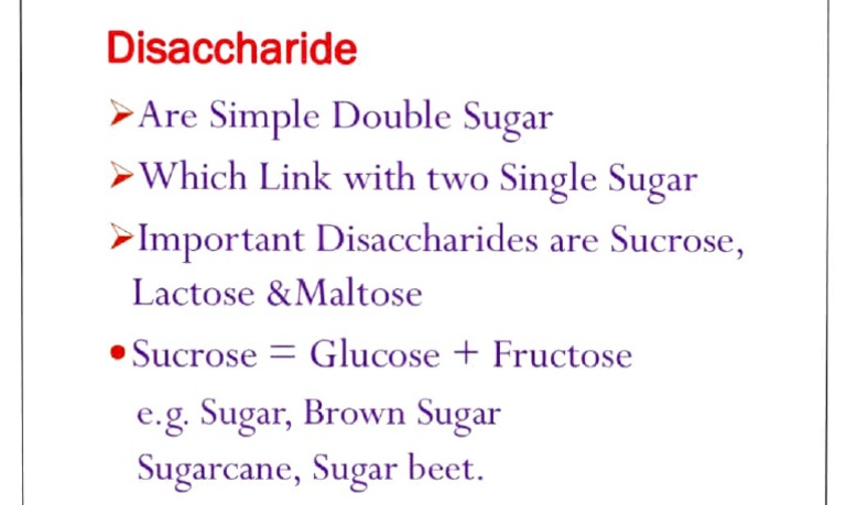 Understanding Disaccharides: Sucrose, Lactose, Maltose | PDF
