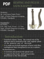 Lumber Spine and Pelvis Radiography