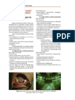 Sub 9. Tulburari Ale Eruptiei Dintilor Permanenti