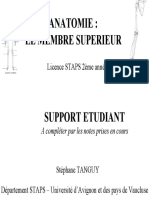 Support_cours_epaule