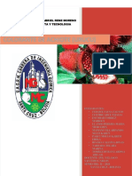 PDF Informe Evaluacion de Proyectos Mandar PDF DL