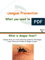 Dengue Guidelines on the Prevention of Mosquito Breeding