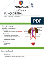 Função Renal e Marcadores Bioquímicos