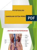 Materi Gangguan Sal Perkemihan