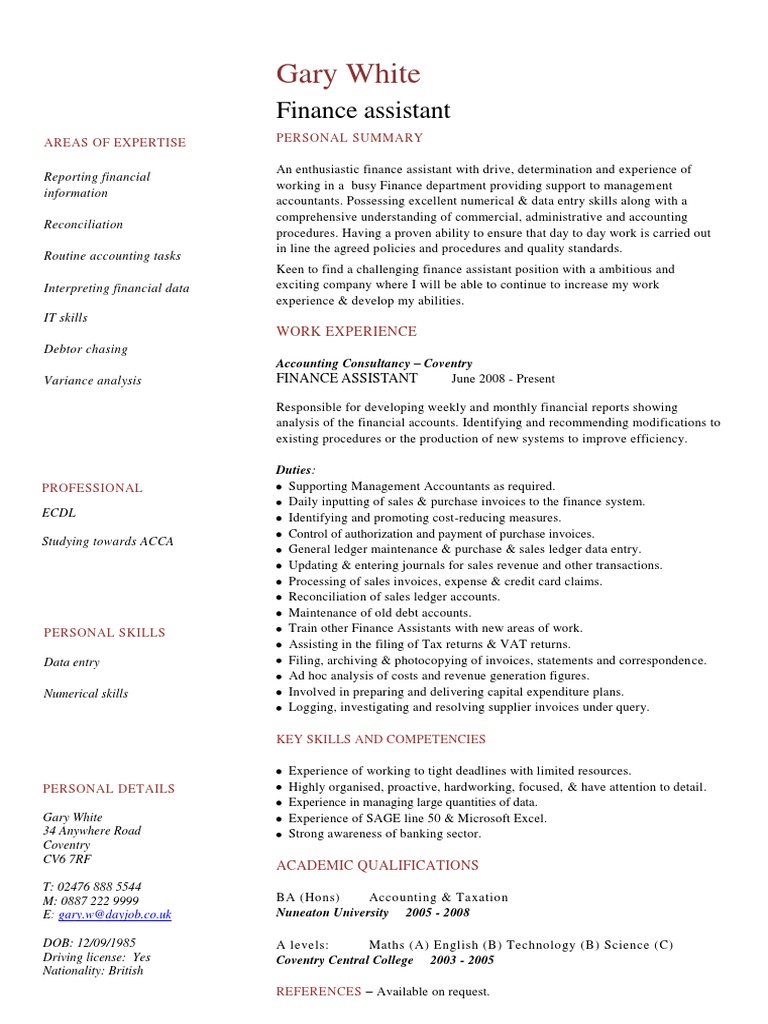 Finance Assistant CV Template | PDF | Invoice | Accounting