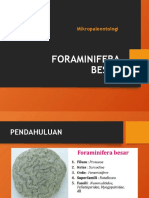 Foraminifera Besar