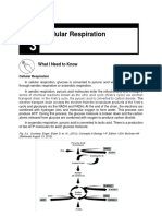 Q2 Week 3 Cellular Respiration