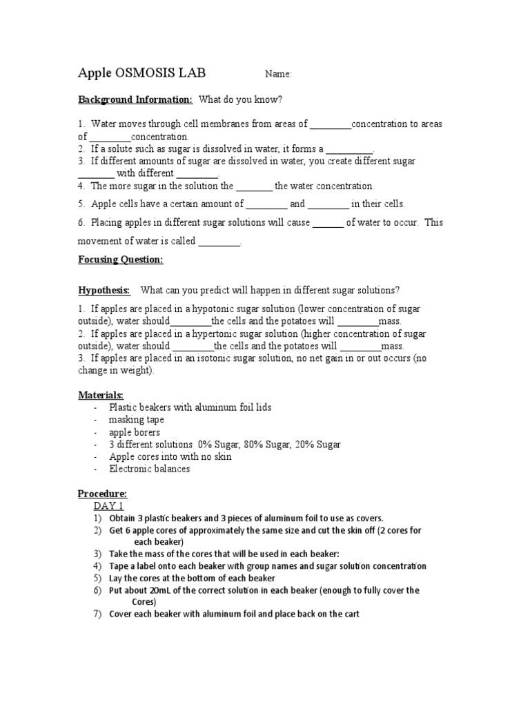 Apple Osmosis Lab Background Information What Do You Know? PDF Osmosis Chemistry