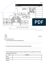 WS 11.1 The Gas Exchange System