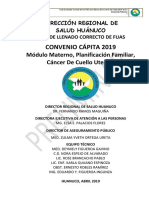 Proyecto Coquito Capita Modulo Materno, Ppff y Cacum Completo 2019 v.5docx (1)
