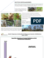 Alerta Temprana Defoliador Enero 2019