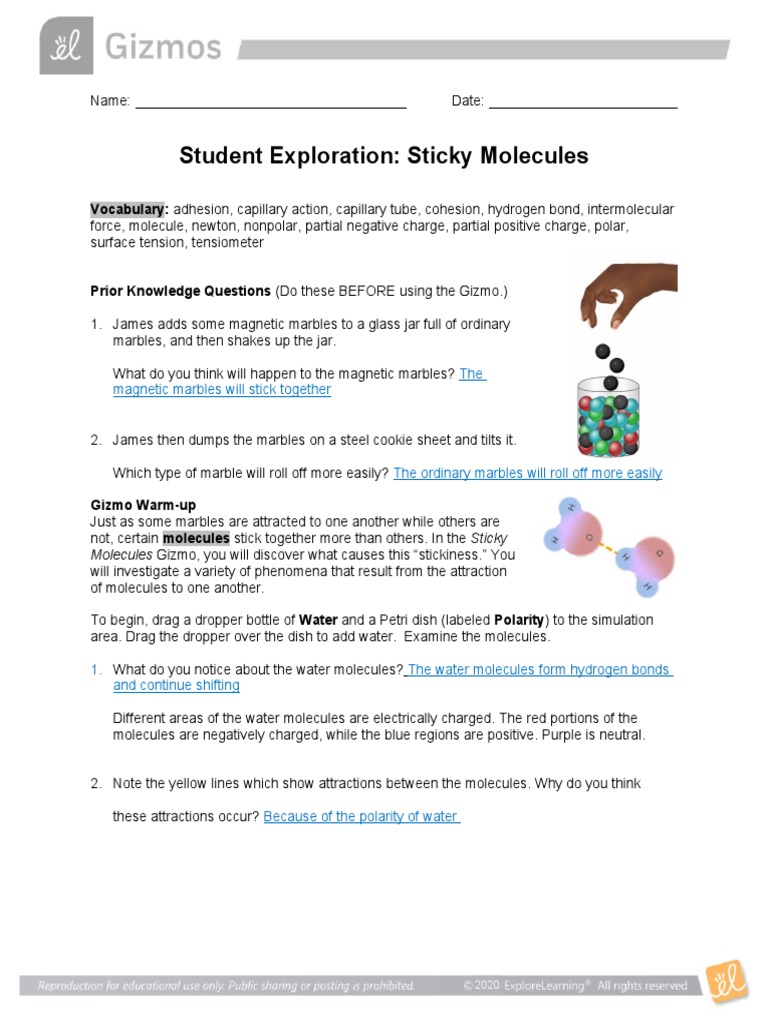 Sticky-Water-Molecules-Lab-3-Honors Biology | PDF | Chemical Polarity ...