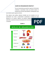 Como Hacer Un Organizador Grafico