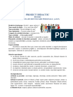 Proiect Didactic ADP