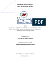 Universidad de San Pedro Sula Facultad de Ciencias Tecnicas