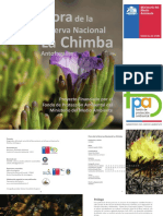Flora de La Reserva Nacional La Chimba