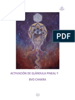 Glandula Pineal Activacion