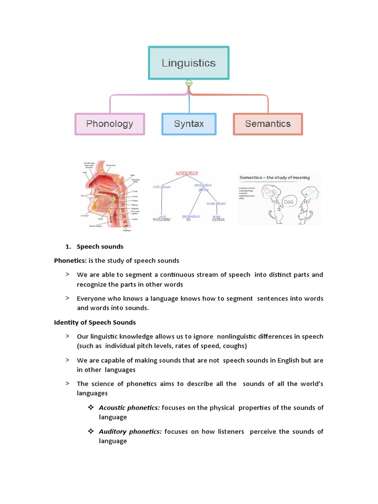 Speech Sounds Phonetics: Is The Study of Speech Sounds | PDF | Phoneme ...