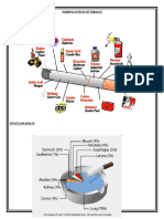 Harmful Effects of Tobacco