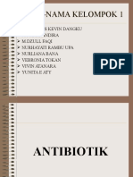 PPT Antibiotik