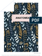 ANATOMÍA-convertido