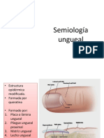 M30 2021 Clase 05c Uña - Lesiones (Cubillo)