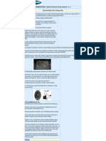 Caja de Cambios - Transmision Manual (Standard) - Descripcion - Mecanismo de Funcionamiento - Componentes