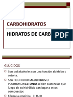 T2 - Carbohidratos