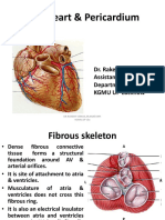 The Heart Pericardium2