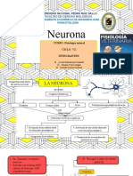 NEURONA