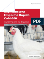 Cobb500 Fast Feather Breeder Management Supplement - Spanish