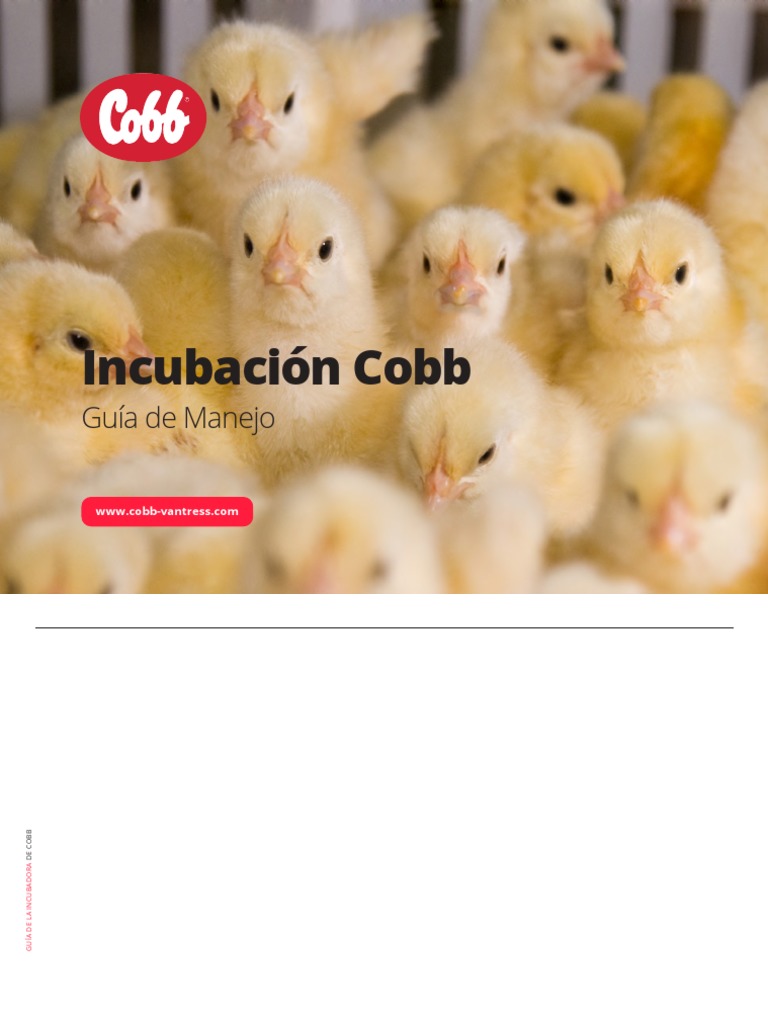GUÍA COMPLETA PARA EL MANEJO EXITOSO DE LA INCUBACIÓN Y PRODUCCIÓN DE ...