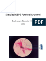 Simulasi Ospe Patologi Anatomi Erythrocyte Education Unit 2015