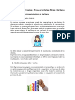 Características (Principios) - Areasa Prioritarias - Metas - Six Sigma