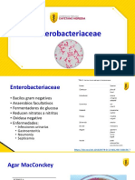 Enterobacteriaceae EVA