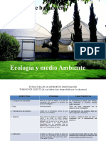 Ecologia Proyectos