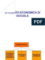 Eficienta Economica Si Sociala - 10