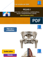 Pelvis I Millennium