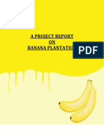 A Project Report On Banana Plantation