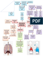 Respiratorio Fisiologia