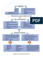 Sepsis Obstetrical