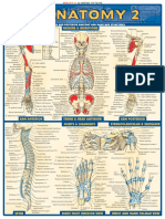 QuickStudy___Anatomy_2__Dee.PDF
